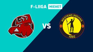 Happee - Indians - Happee - Indians 20.1.