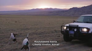 Vuorien sankarit - Kojoottikohtaaminen