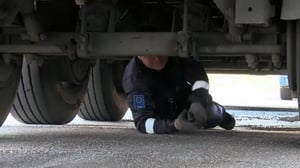 Suomen tulli (S) - Tarkka vainu