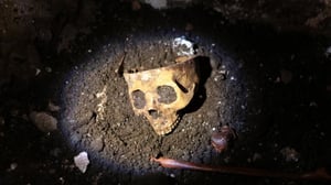 Kuolleiden salaisuudet (7) - Jamestownin synkkä talvi