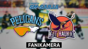 Pelicans - KJT Haukat, Fanikamera - Pelicans - KJT Haukat, Fanikamera 24.1.