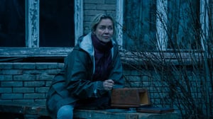 Pasilan myrkky - Manni (12) - Linnunpönttö