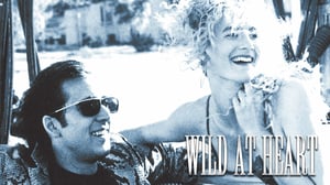 Villi sydän (16) - Villi sydän (16)