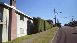 Remppa vai muutto Vancouver - Piha koiralle