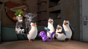 Madagascarin pingviinit (7) - Muukalaisvihaa; Kuin uusi nainen