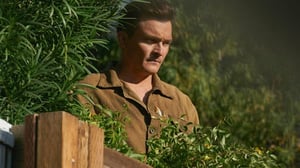 Strange Angel (Paramount+) (12) - Ritual of Abduction