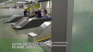 Australian rajalla - Kalliit sipulit