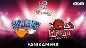 Pelicans - SB-Pro, Fanikamera - Pelicans - SB-Pro, Fanikamera 21.12.