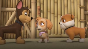 Ryhmä Hau (S) - Pups Save a Box Fort; Pups Save Travelin' Travis From Really Big Bill