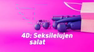 4D: Seksilelujen salat (12) - 4D: Seksilelujen salat