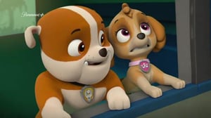 Paw Patrol(Paramount+) - Kadonnut Papukaija / Mehiläisten Uusi Koti
