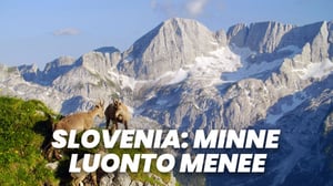 Slovenia: Minne luonto menee