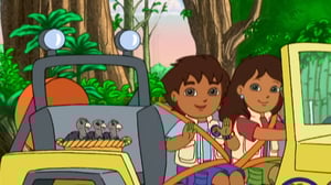 Go, Diego, Go! (S) - Three Little Condors