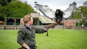 Yorkshiren eläinlääkäri (7) - 712