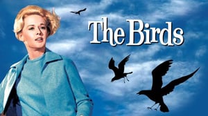 Linnut (16) - Linnut (16)