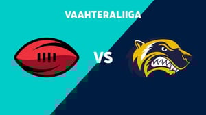 Steelers - Wolverines - Steelers - Wolverines 17.8.