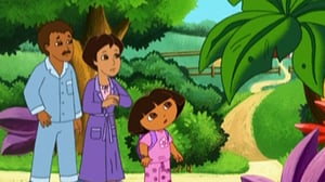 Seikkailija Dora (S) - Vauvojen jäljillä