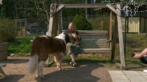 Koti koiralle - Jättimäistä rakkautta