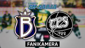 Blues - TPS, Fanikamera - Blues - TPS, Fanikamera 24.1.
