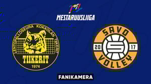 Tiikerit - Savo Volley, Fanikamera - Tiikerit - Savo Volley, Fanikamera 28.12.