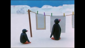 Pingu (S) - Pingu (S)