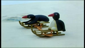 Pingu (S)