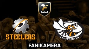Steelers - O2-Jyväskylä, naiset Fanikamera - Steelers - O2-Jyväskylä, naiset Fanikamera 25.10
