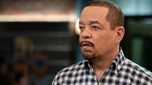 Law & Order: Special Victims Unit (12) - The Long Arm of the Witness