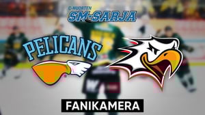 Pelicans - Sport, Fanikamera - Pelicans - Sport, Fanikamera 14.3.