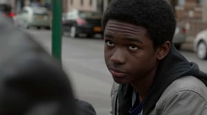 Law & Order: Special Victims Unit (12) - Strange Beauty