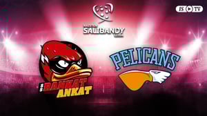 SSRA - Pelicans SB - SSRA - Pelicans SB 25.1.