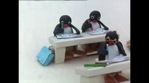 Pingu (S) - Pingu (S)