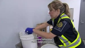 Kanadan rajalla - Työlupaa vailla