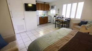 Tehoneliöt haussa - Kakkoskoti Honolulussa