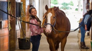 FBI: Most Wanted (12) - Mielenvikaista