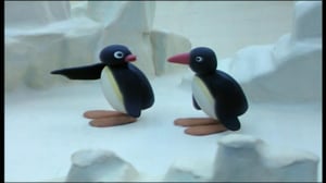 Pingu (S)