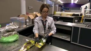 Australian rajalla - Hämärä häämatka