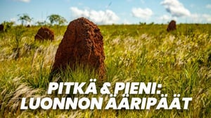 Pitkä & pieni: Luonnon ääripäät (7)