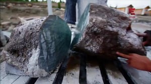 Jade Fever (7) - Hitunen toivoa