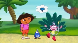 Seikkailija Dora (S) - Kadoksissa