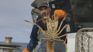 Australian hummerinpyytäjät (16) - Voittajat ja virnuilijat