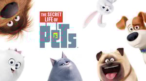 Lemmikkien salainen elämä (7) - Lemmikkien salainen elämä (7)