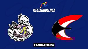 Ducks - Etta, Fanikamera - Ducks - Etta, Fanikamera 1.10.