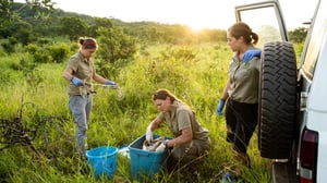 Malawin eläinpelastus (7) - Koti saaressa