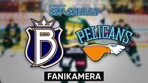 Blues Ak - Pelicans, Fanikamera - Blues Ak - Pelicans, Fanikamera 4.1.