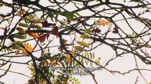 Puutarhan pelastajat - Lomakohde kotona