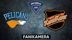 Pelicans - KooKoo, Fanikamera - Pelicans - KooKoo, Fanikamera 7.2.