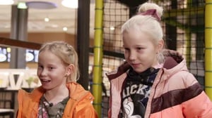 Tankkaustarinat - Teetä, kukkoja ja viulisteja