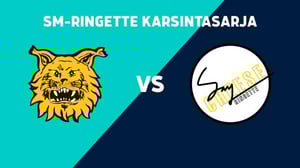 Ilves - LL-89, Fanikamera - Ilves - LL-89, Fanikamera 6.3.