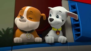 Ryhmä Hau (S) - Ongelmia viidakossa / Paimennuskisat